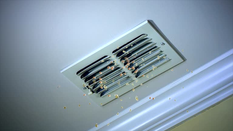 HVAC System Cleaning in Carol Stream, IL